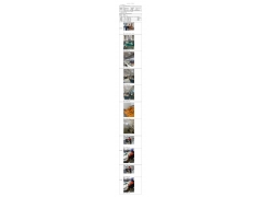WTF22F01014175H 2022 公示信息