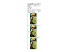 WTF20F11082613H 2022 公示信息