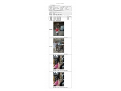 WTF20F06041374H 2022 公示信息