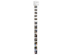 WTZ22F03045613H 2022 公示信息
