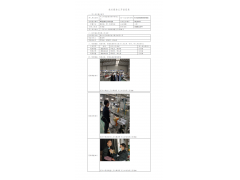 WTZ20F12101012H 2022 公示信息