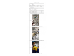 WTZ20F11087788H 2022 公示信息