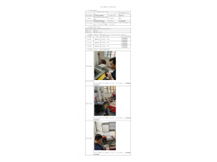 WTZ20F11082882H 2022 公示信息
