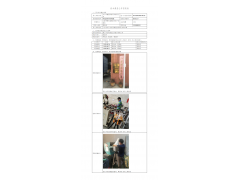 WTZ20F07045900H 2022 公示信息