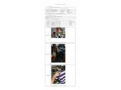 WTZ20F07049471H 2022 公示信息