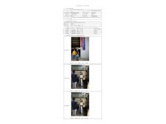 WTF20F08055318H 2022 公示信息