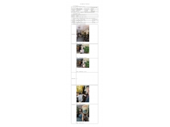 WTZ22F04082990H 2022 公示信息