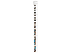 WTF22F04066966H 2022 公示信息
