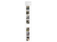 WTZ22F04077198H 2022 公示信息