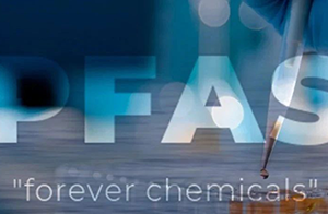 快讯！ECHA发布REACH PFAS限制提案最新进展