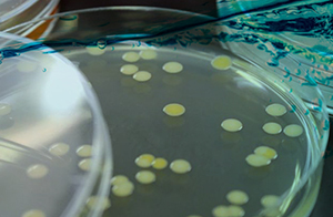 佛山沃特参加IERM T25-82水质菌落总数检测能力验证 获“满意”结果